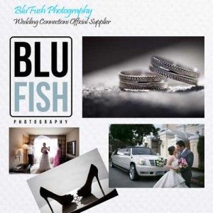 blufish-weddingconnections